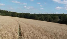 Still from Looking For Godot